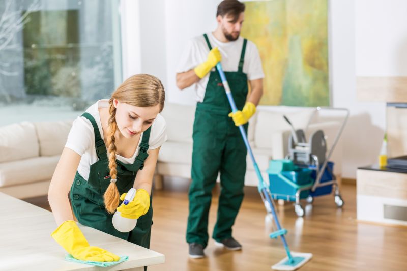Trained Cleaning Professionals