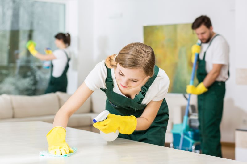 Move In Cleaning Service in Redmond, WA